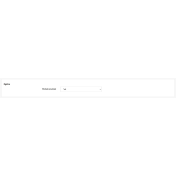 Organization- und WebSite-Daten für den Shop