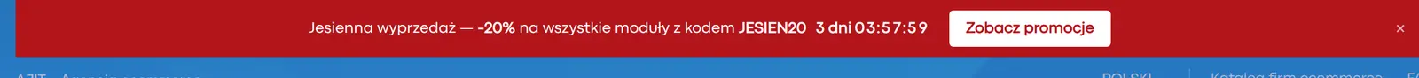 Countdown, Rabattcode und CTA