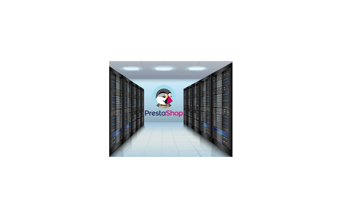 Jaki hosting wybrać do Prestashop 1.7 1.6